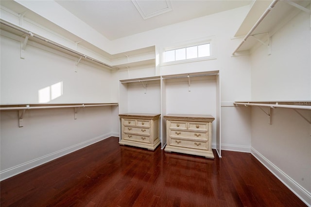 walk in closet featuring dark wood-type flooring