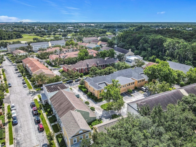 1017 Siena Park Blvd E, Celebration, FL 34747 - photo 27