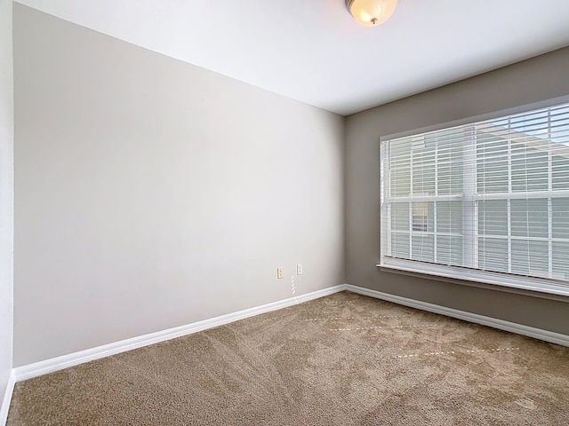 1017 Siena Park Blvd E, Celebration, FL 34747 - photo 19