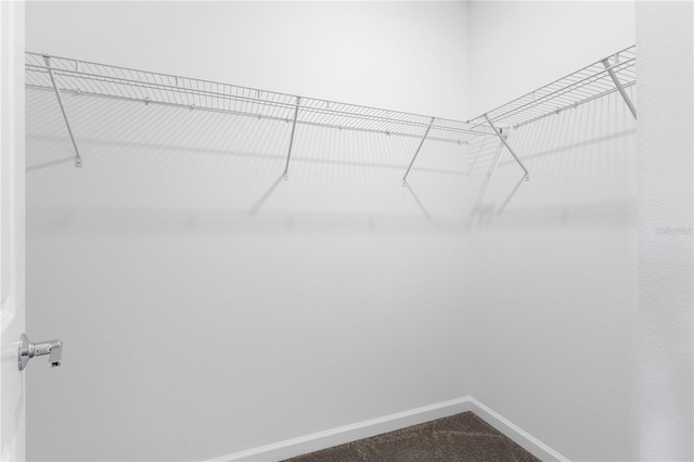 139 Aces High Ln, Davenport, FL 33896 - walk in closet featuring dark colored carpet