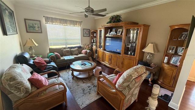 living room with dark wood-type flooring, ceiling fan, and crown molding