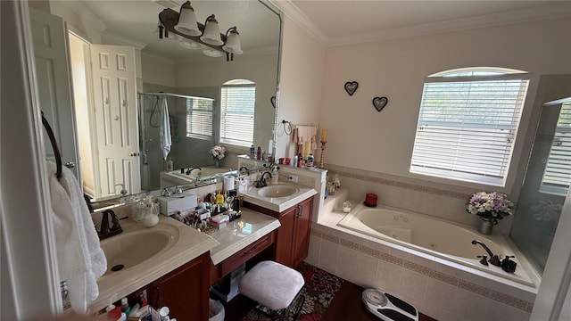 bathroom featuring vanity, ornamental molding, and plus walk in shower