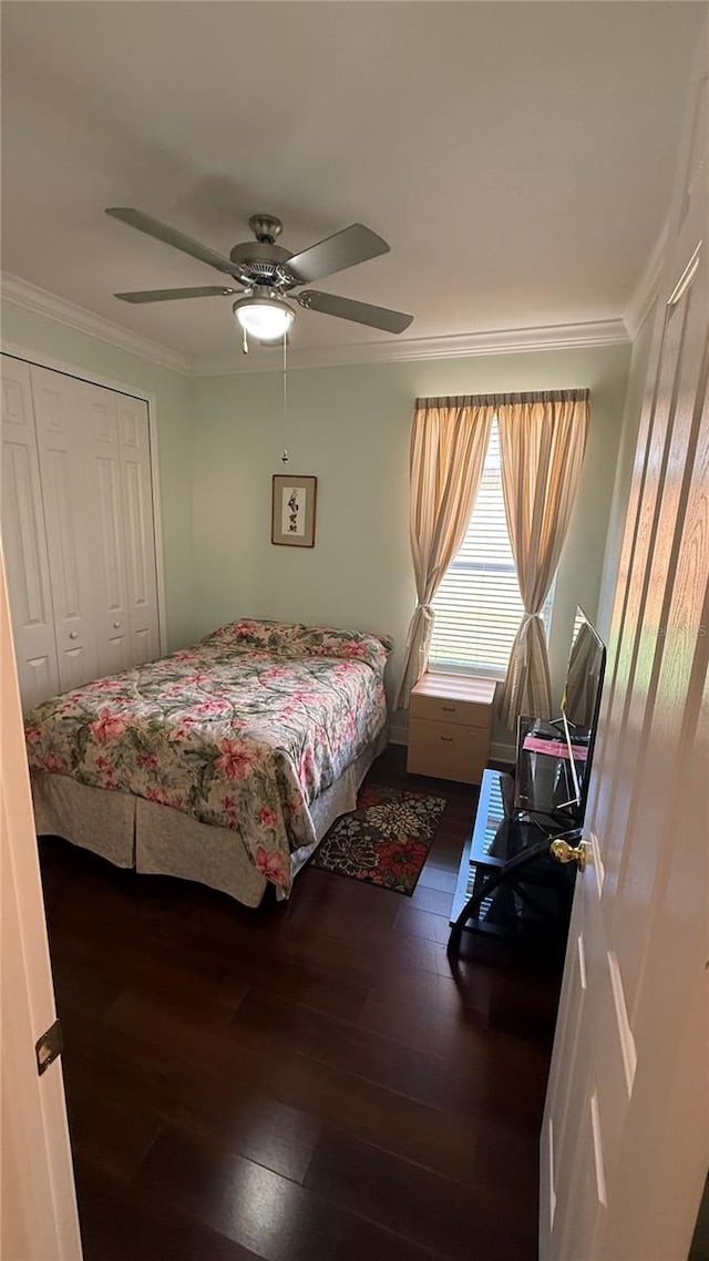 bedroom with ceiling fan, ornamental molding, dark hardwood / wood-style flooring, and a closet