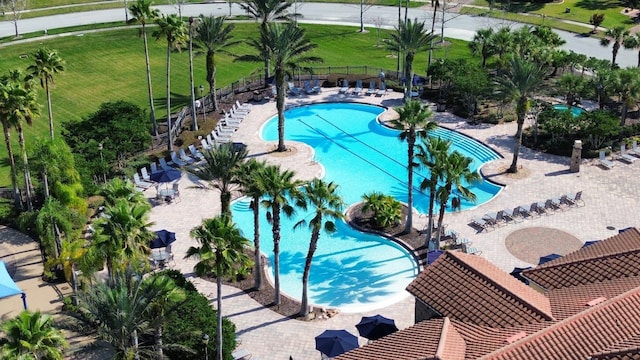 view of pool featuring a patio