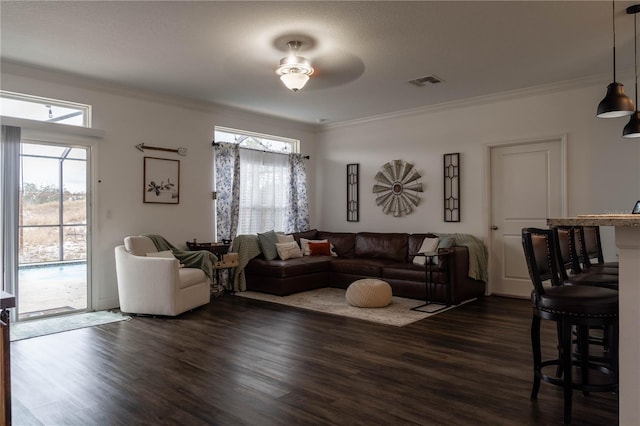 living room with ornamental molding, a healthy amount of sunlight, and dark hardwood / wood-style floors