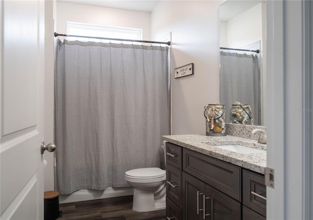 bathroom with vanity, toilet, and wood-type flooring