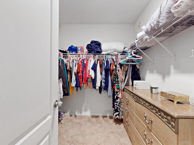 walk in closet with light colored carpet