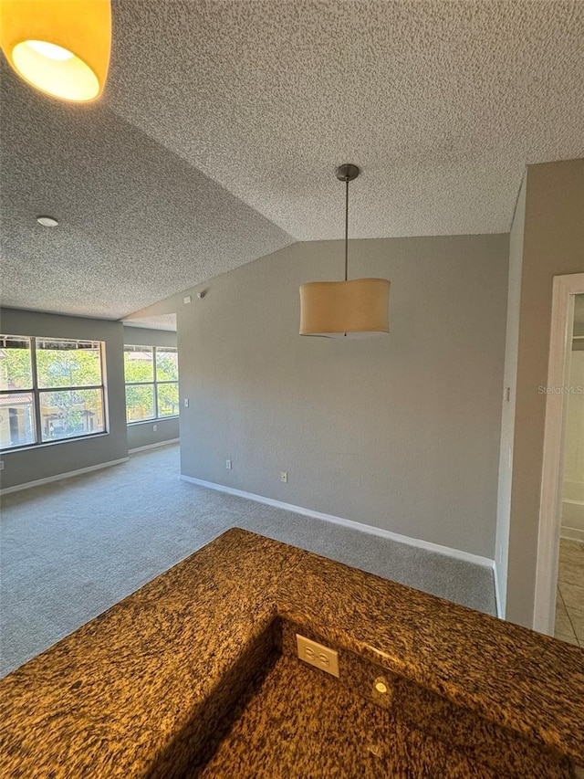 carpeted spare room with lofted ceiling and a textured ceiling