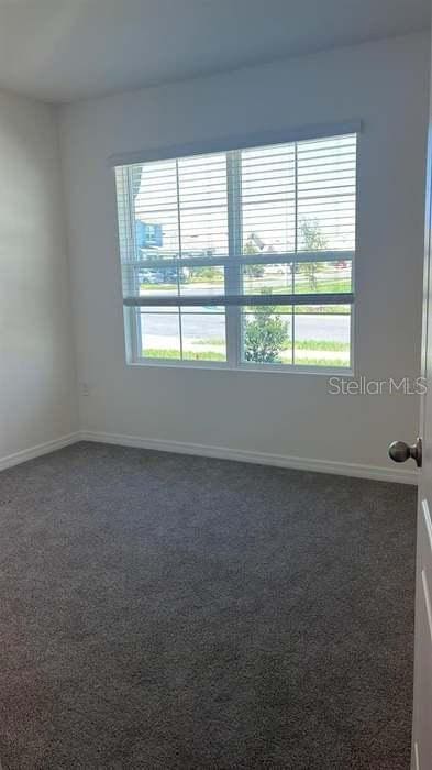 carpeted spare room with a wealth of natural light