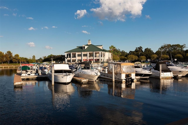 dock area with a water view