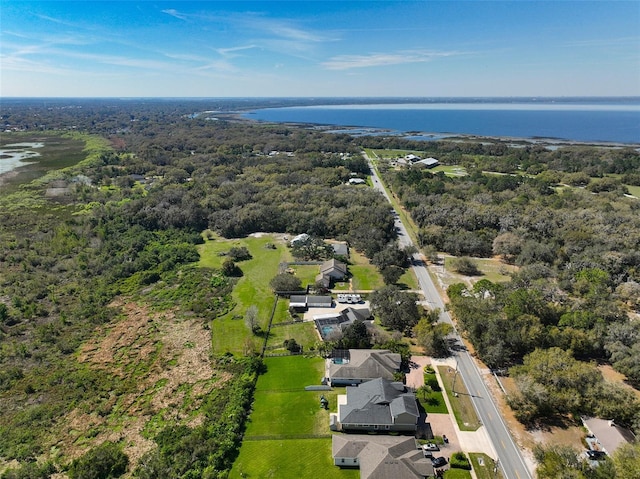 drone / aerial view with a water view and a wooded view