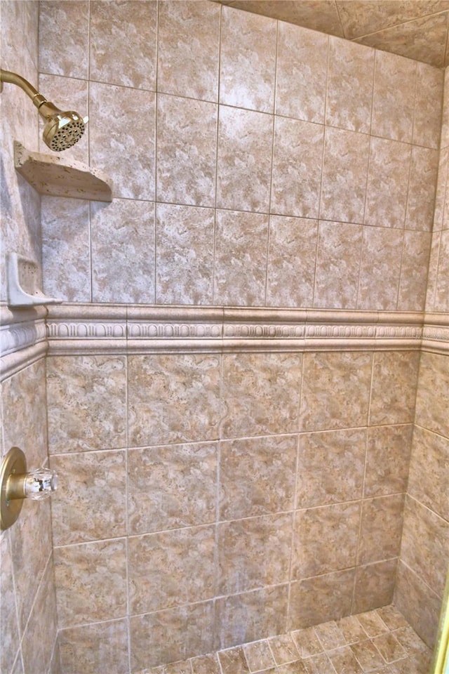 interior details featuring walk in shower