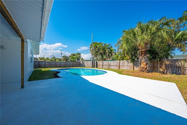 view of swimming pool with a patio