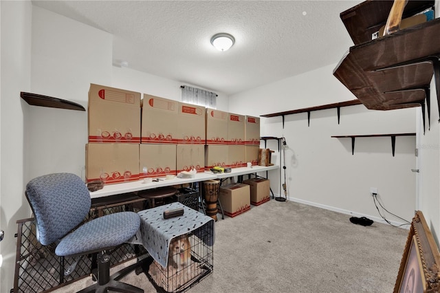 interior space featuring light colored carpet and a textured ceiling