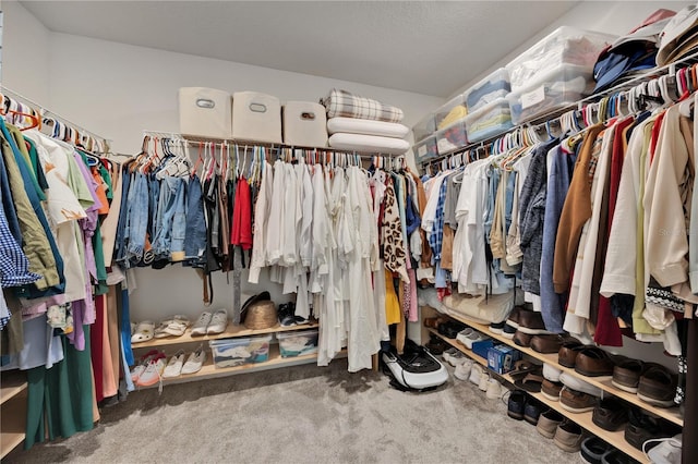 spacious closet featuring carpet flooring