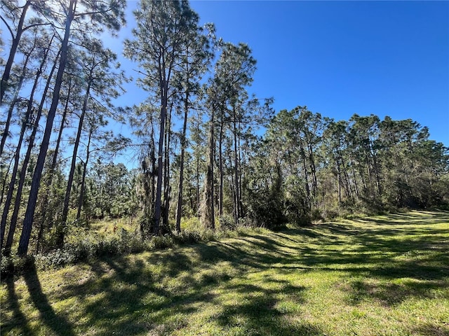 view of yard featuring a wooded view