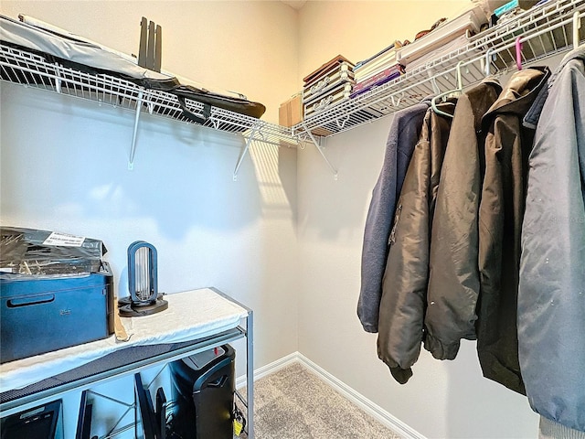 walk in closet with carpet flooring