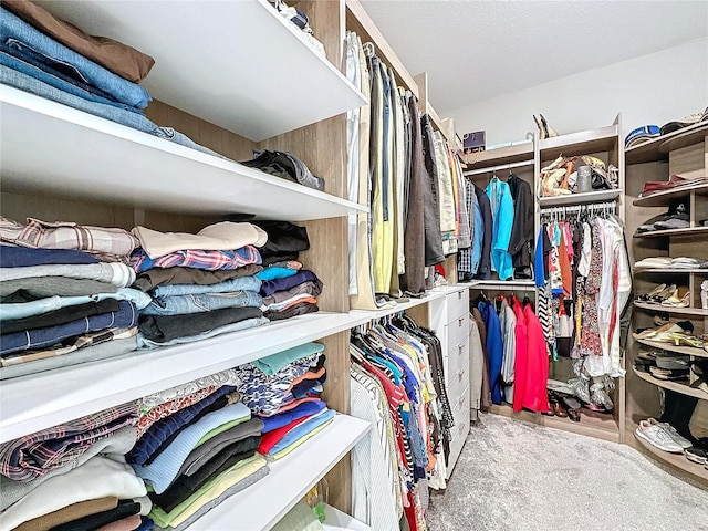 view of walk in closet