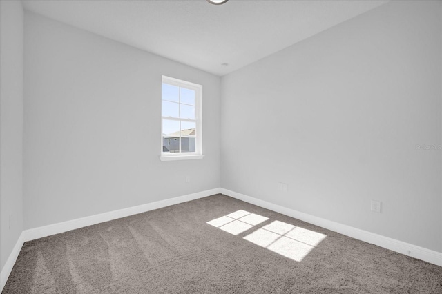 spare room with carpet floors