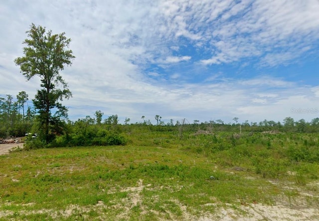 0 Griffin Rd, Wewahitchka FL, 32465 land for sale