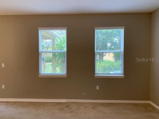 empty room with a wealth of natural light, baseboards, and carpet floors