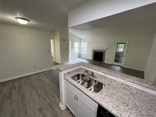 kitchen featuring sink, a textured ceiling, dark hardwood / wood-style floors, and white cabinets