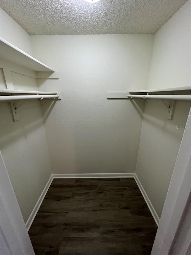 spacious closet featuring dark hardwood / wood-style floors