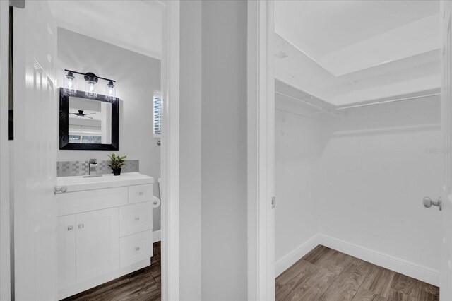 bathroom with wood-type flooring and vanity