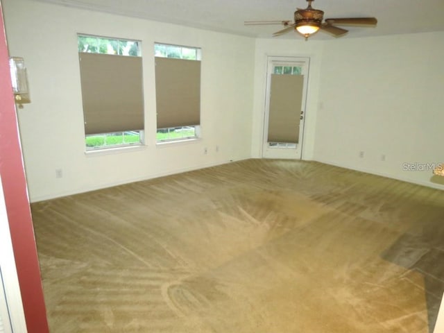 spare room featuring a ceiling fan, a wealth of natural light, and carpet floors