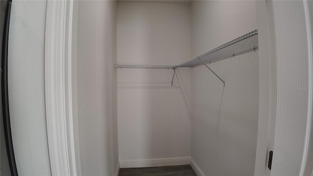 spacious closet with dark wood-type flooring