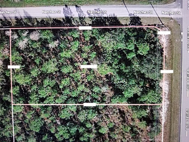 00 Dallas Blvd, Orlando FL, 32833 land for sale