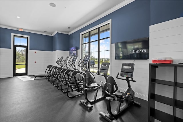 workout area with wainscoting and crown molding