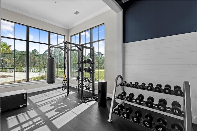 gym featuring a healthy amount of sunlight, visible vents, and ornamental molding