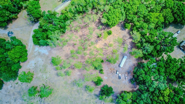 15345 Rockridge Rd, Polk City, FL 33868 - photo 57