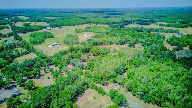 15345 Rockridge Rd, Polk City, FL 33868 - photo 58