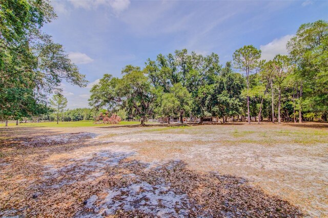 15345 Rockridge Rd, Polk City, FL 33868 - photo 72
