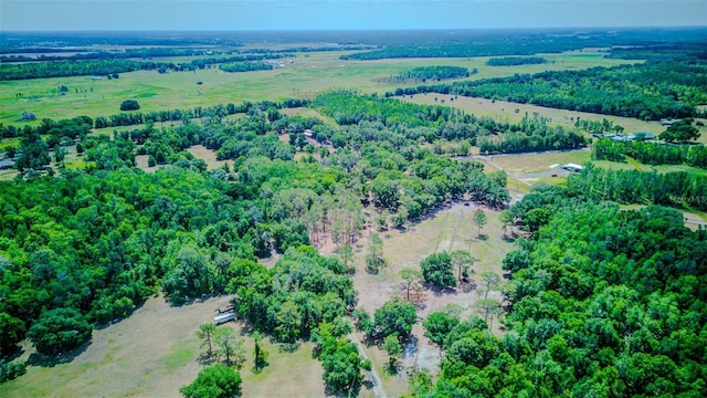 15345 Rockridge Rd, Polk City, FL 33868 - photo 74