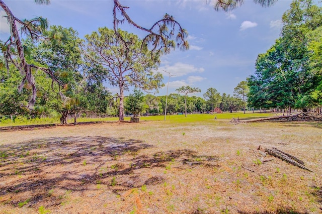 15345 Rockridge Rd, Polk City, FL 33868 - photo 75