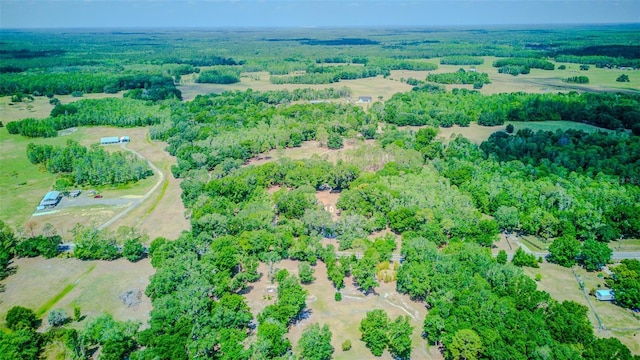 15345 Rockridge Rd, Polk City, FL 33868 - photo 77