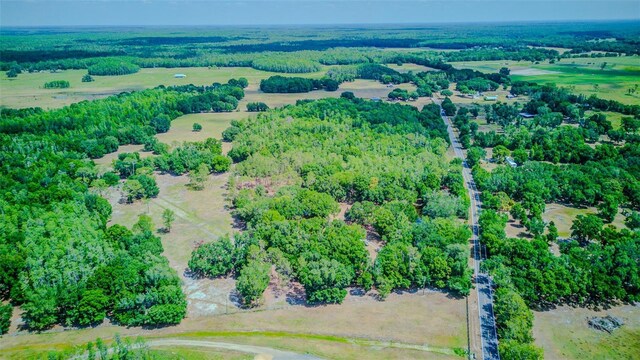 15345 Rockridge Rd, Polk City, FL 33868 - photo 59
