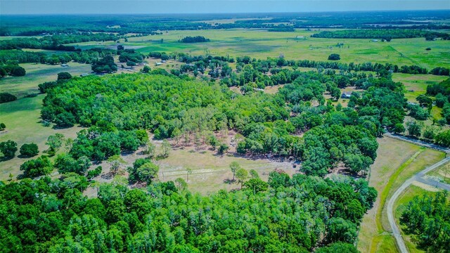 15345 Rockridge Rd, Polk City, FL 33868 - photo 73