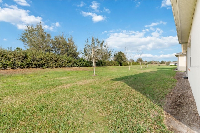 4911 Drawdy Ct, Saint Cloud, FL 34772 - photo 50