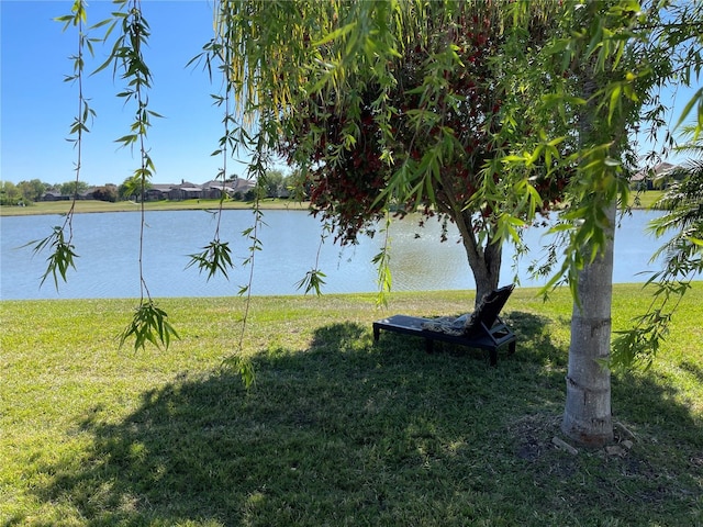 1820 Trophy Bass Way, Kissimmee, FL 34746 - water view