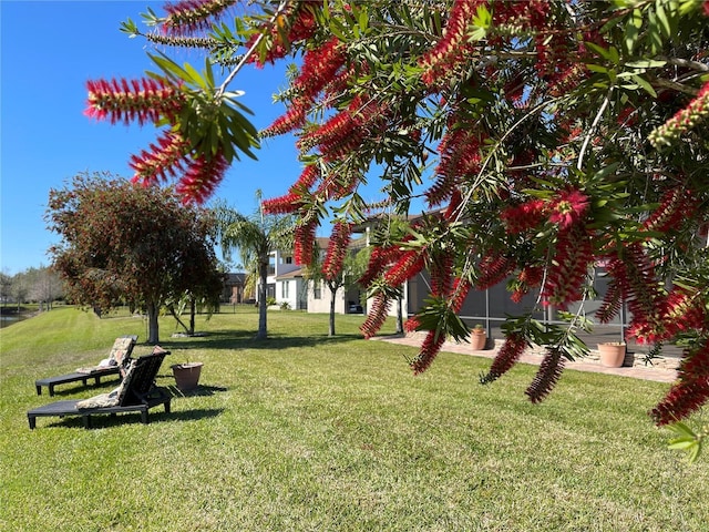 1820 Trophy Bass Way, Kissimmee, FL 34746 - view of yard