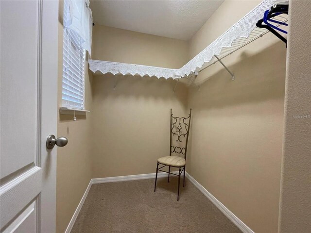1820 Trophy Bass Way, Kissimmee, FL 34746 - walk in closet with carpet floors