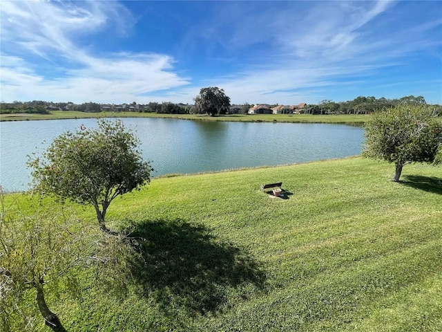 1820 Trophy Bass Way, Kissimmee, FL 34746 - view of water feature