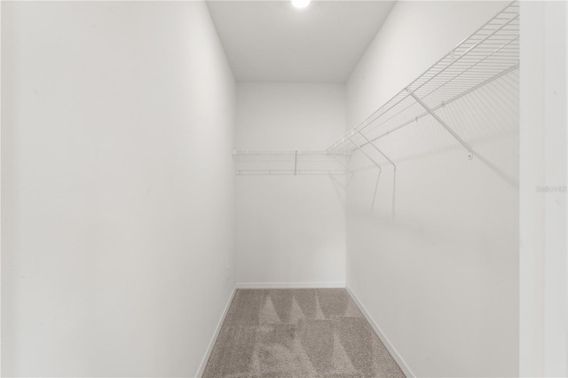 walk in closet with light colored carpet