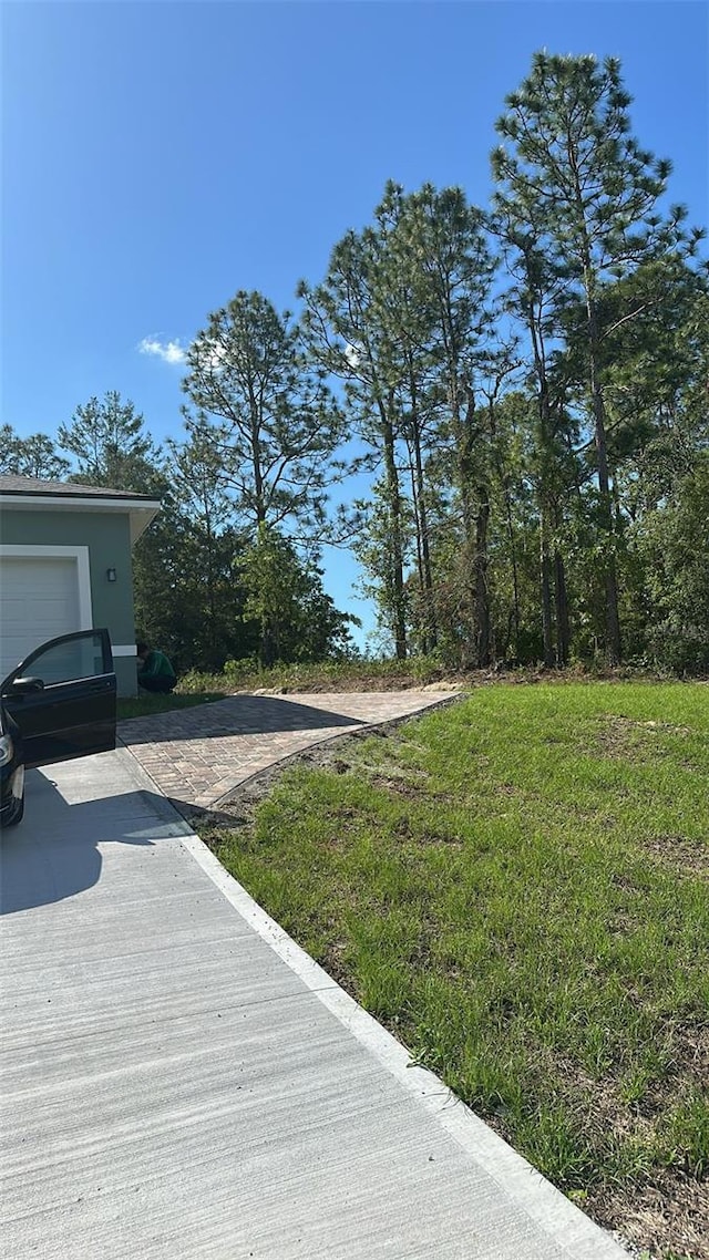 6430 SW 144th Street Rd, Ocala, FL 34473 - view of yard