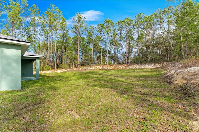 6430 SW 144th Street Rd, Ocala, FL 34473 - view of grassy yard