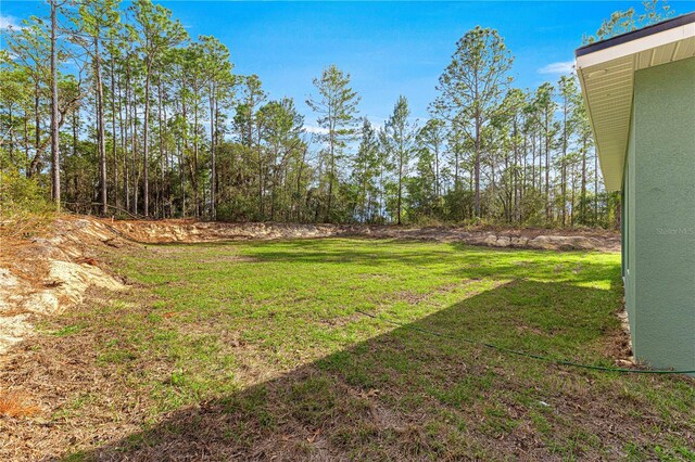 6430 SW 144th Street Rd, Ocala, FL 34473 - view of grassy yard